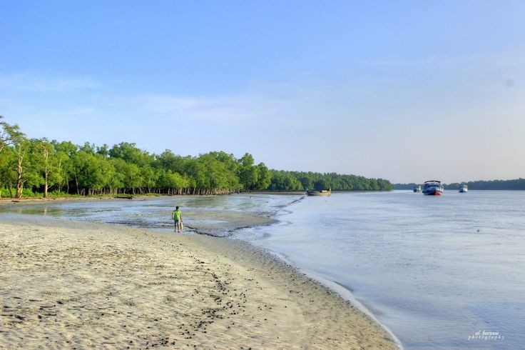 Katka (Kotka) Sundarbans Beach