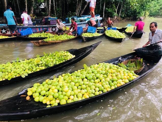 Jhalakathi Guava
