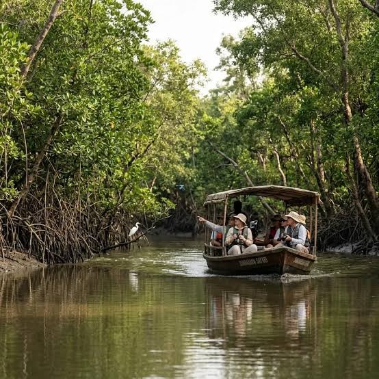 Sundarbans Boat Tours